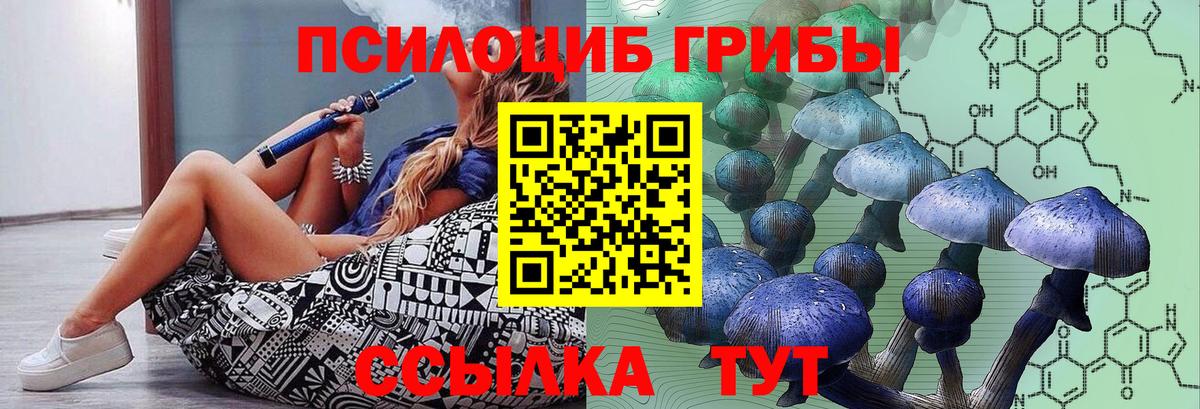 Псилоцибиновые грибы Psilocybine cubensis  Вход с VPN  Красноуфимск  Галлюциногенные грибы MAGIC MUSHROOMS 